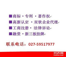 探析天江專(zhuān)利商標(biāo)軟件著作權(quán)與版權(quán)代理服務(wù)的專(zhuān)業(yè)路徑